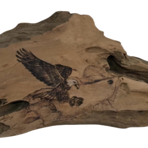 Woodburned eagle landing on cypress