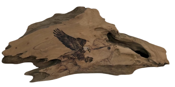 Woodburned eagle landing on cypress