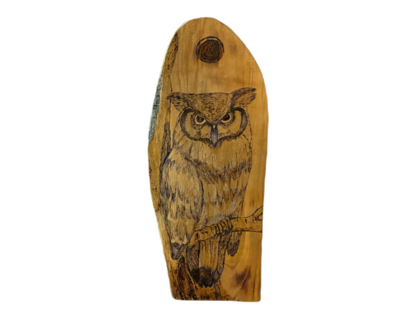 Woodburned owl on branch under moon on cypress