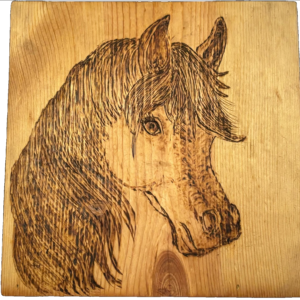 Wood-burned head of a pony on wooden plaque