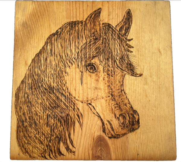 Wood-burned head of a pony on wooden plaque